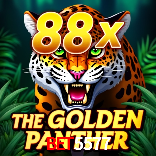 Bet5577: Seu Especialista em Apostas Esportivas Brasileiras